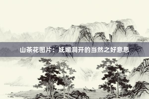 山茶花图片：妩媚洞开的当然之好意思