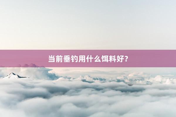 当前垂钓用什么饵料好？