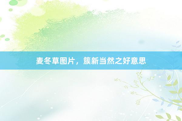 麦冬草图片，簇新当然之好意思