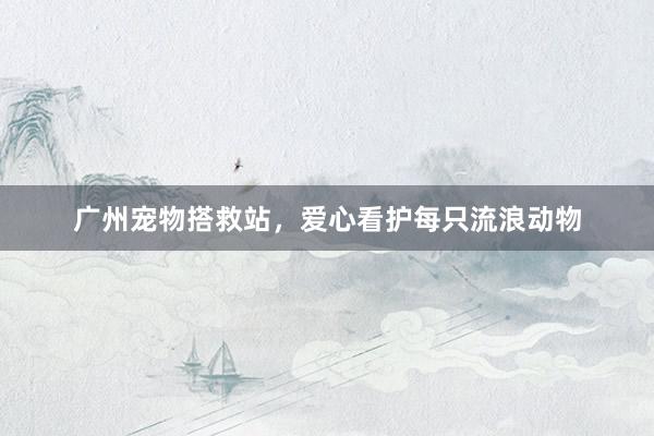 广州宠物搭救站，爱心看护每只流浪动物
